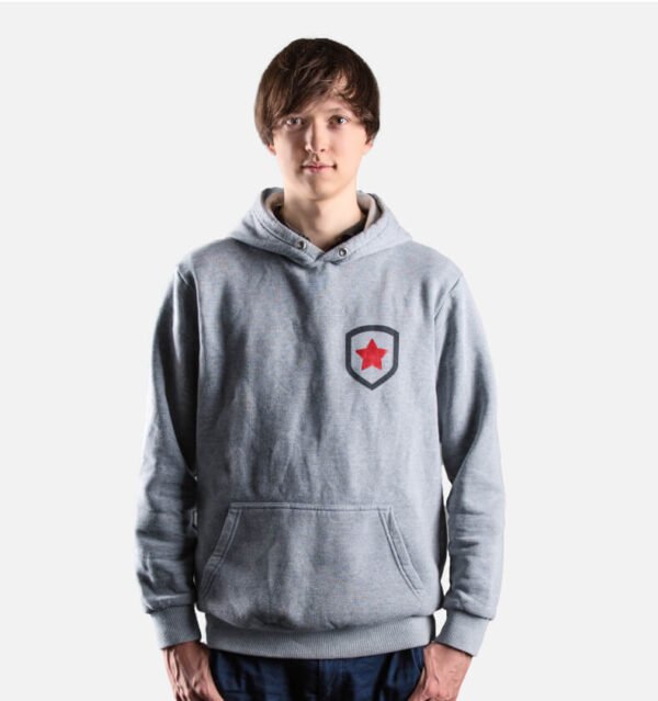 Hoodie Collection